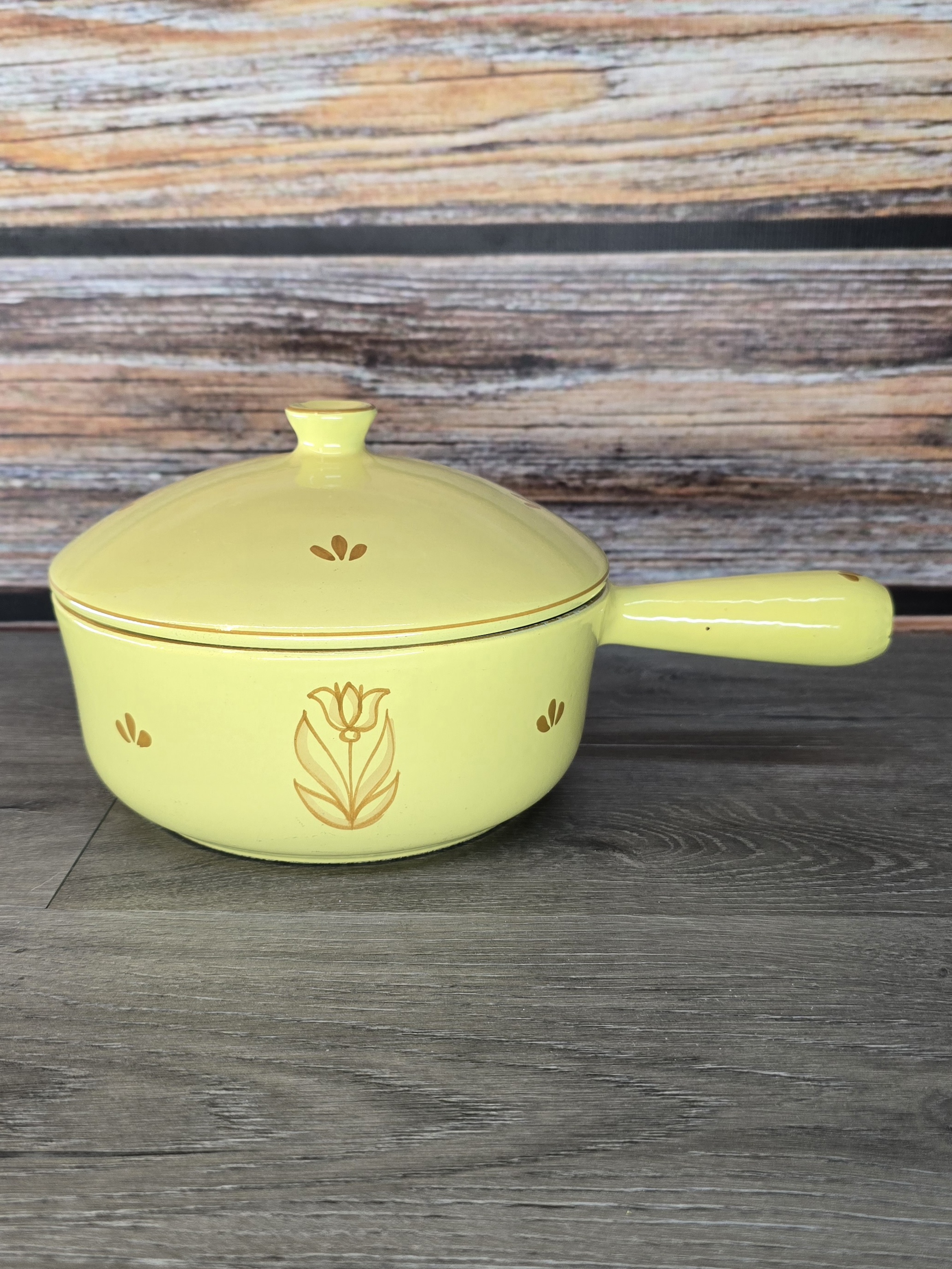 DRU Holland Tulip Enamel Coated Cast Iron Saucepan with Lid