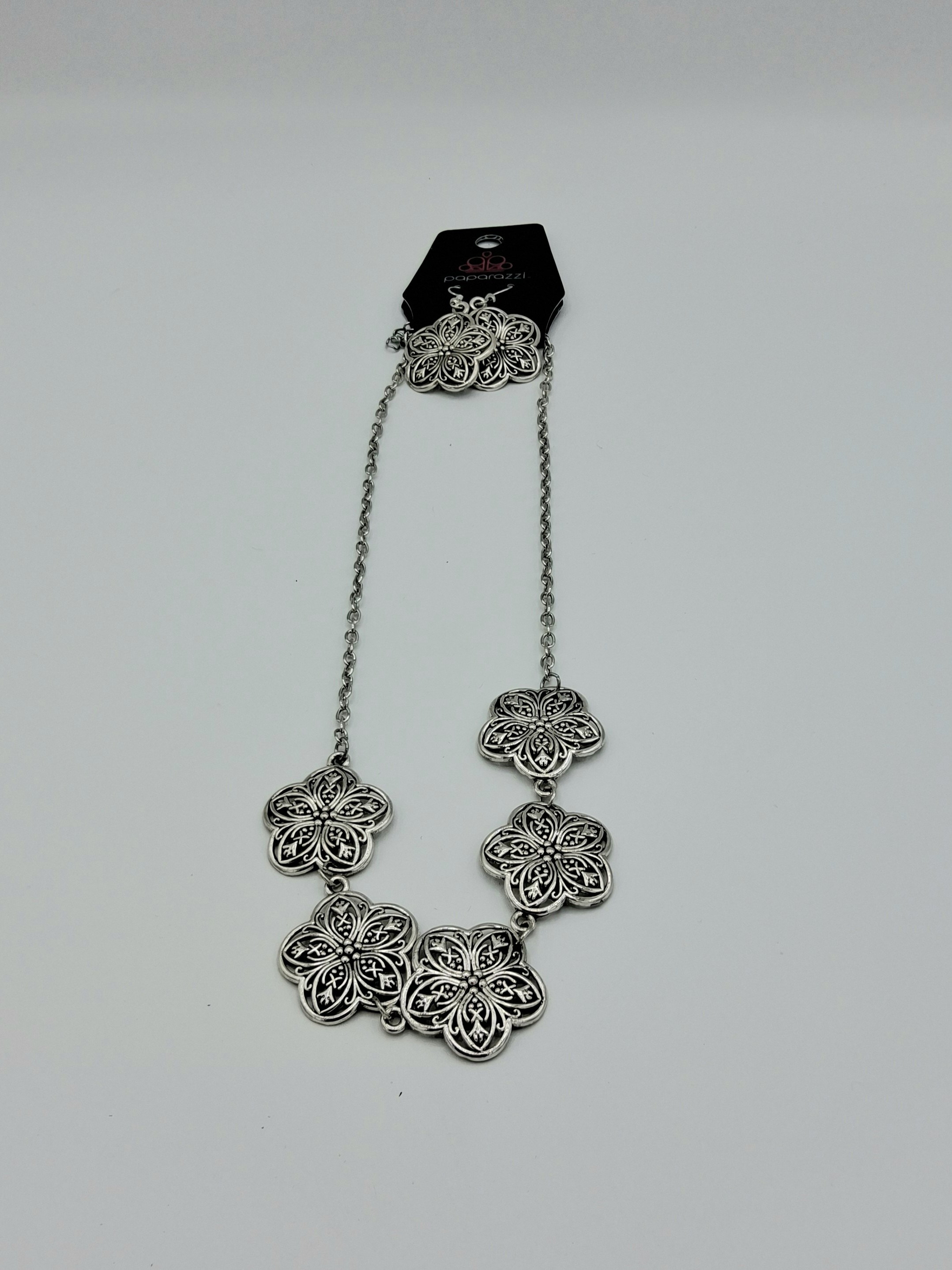 Paparazzi Necklace & Earring Set– New