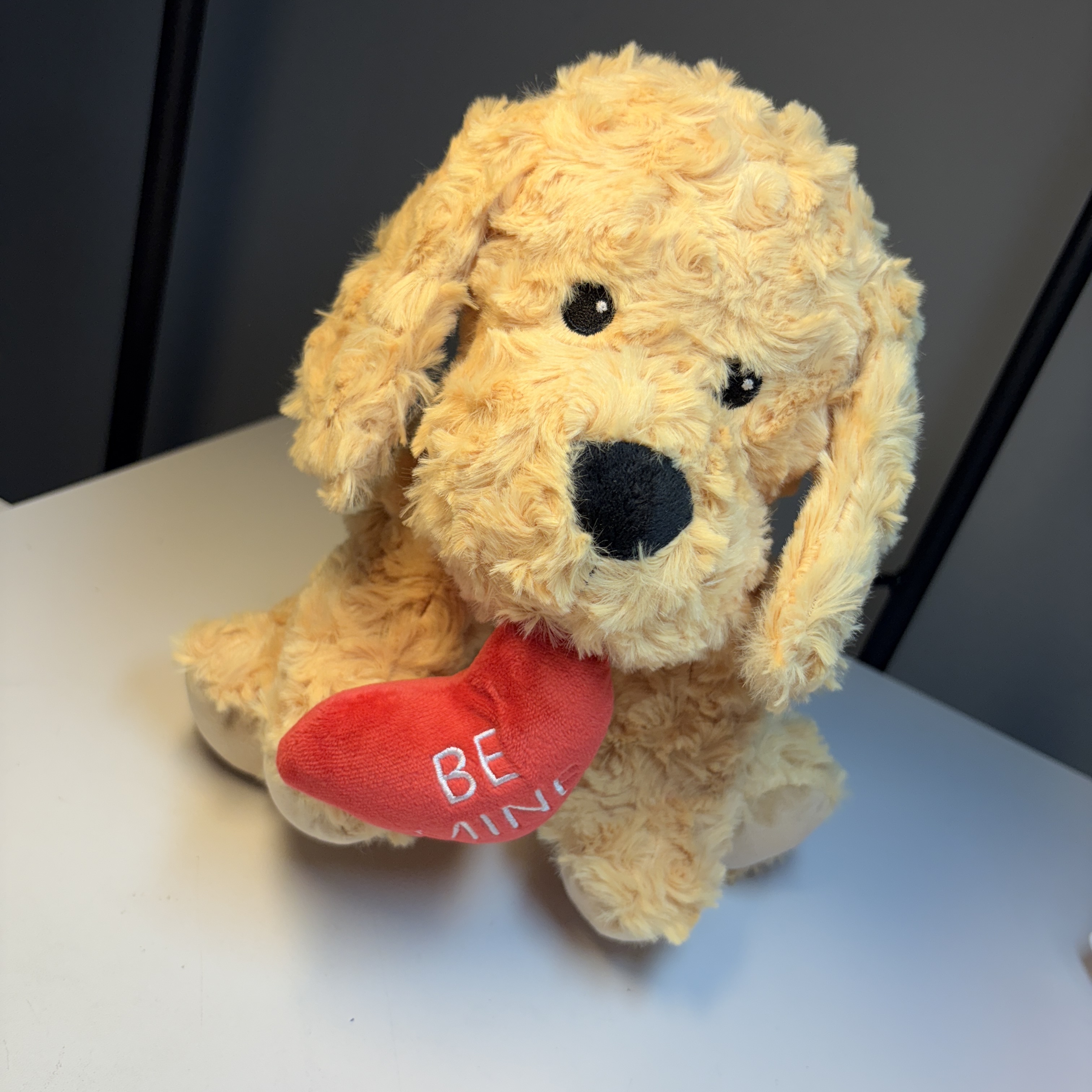 Warmies “Be Mine” Plush Puppy – Microwavable Heat & Aromatherapy Stuffed Animal