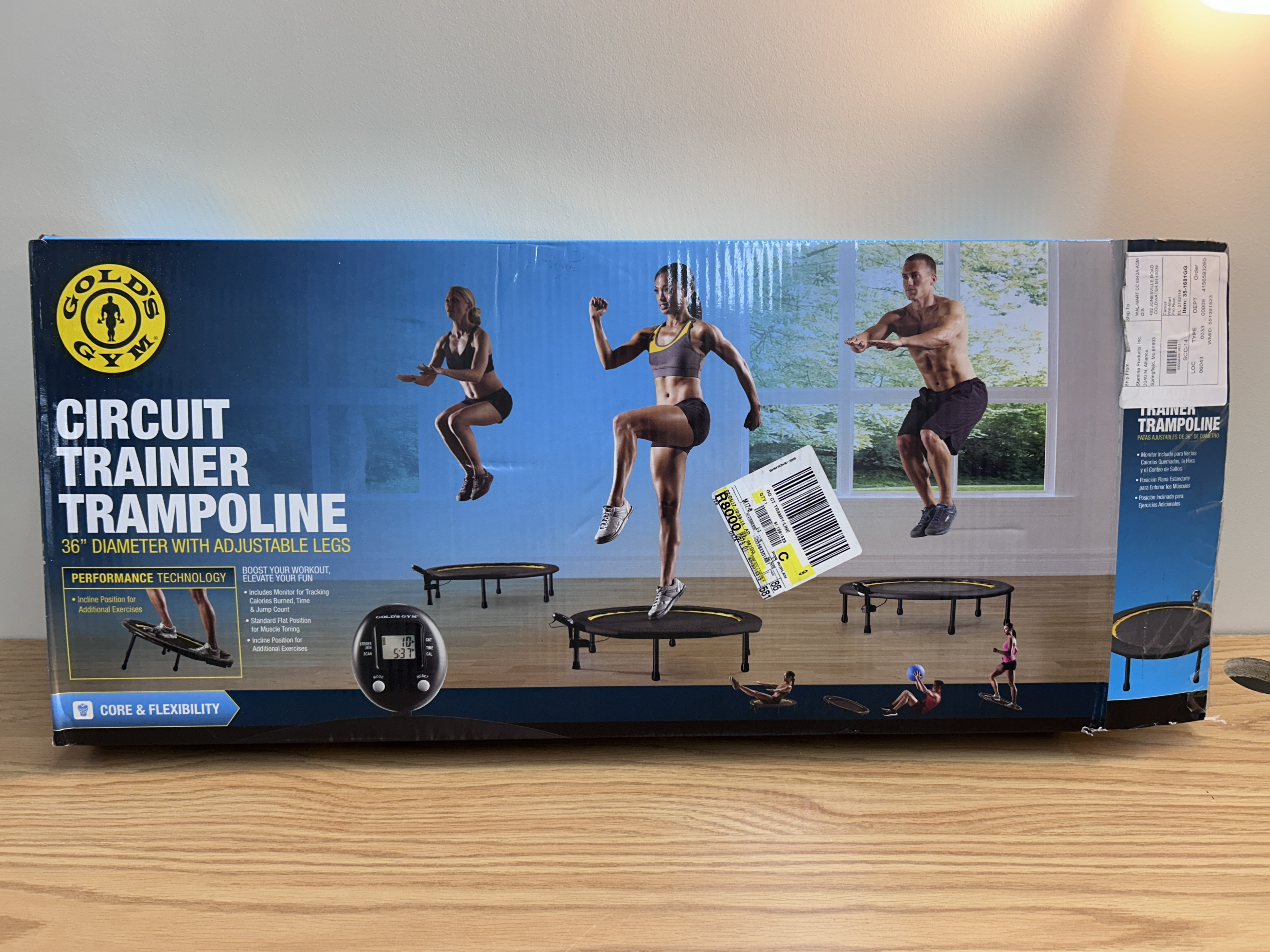 Gold's Gym 36-Inch Trampoline Circuit Trainer